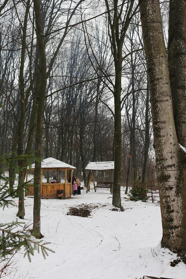 Vitapark Sonyachnyy Provans * Satanów